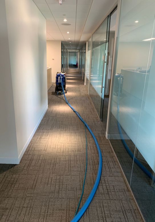 carpet cleaning in an office hallway