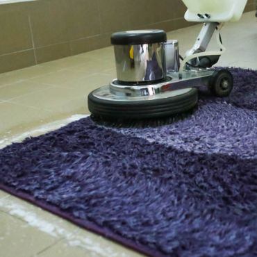 cleaning a purple carpet