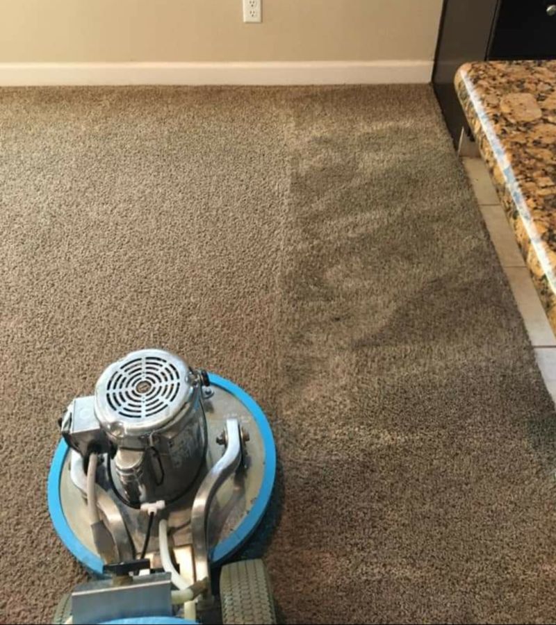 residential carpet cleaning in progress in a fort worth texas home